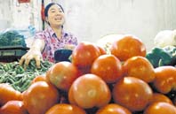 Sabor a nada. Los científicos israelíes no se resignan a seguir comiendo tomates insulzos. Foto: Archivo El Litoral. 