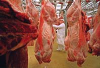 �Seguirá subiendo? La falta estacional de novillos induce al gobierno a pensar en más retenciones para volcar carne al mercado interno. Foto: agencia AFP. 