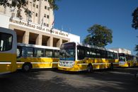  21 nuevos coches se sumaron hoy al servicio de transporte público de la ciudad. Foto: Néstor Gallegos. 