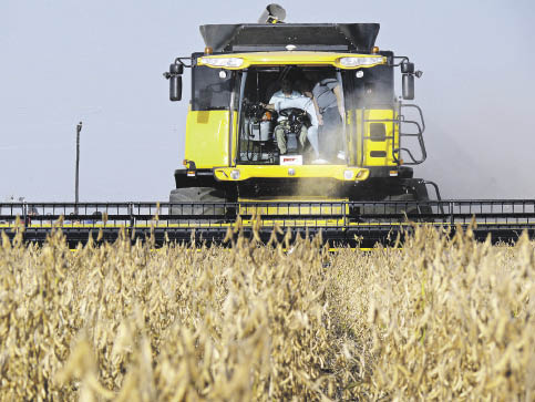 La soja le aportará al país más de U$S 18 mil millones este año