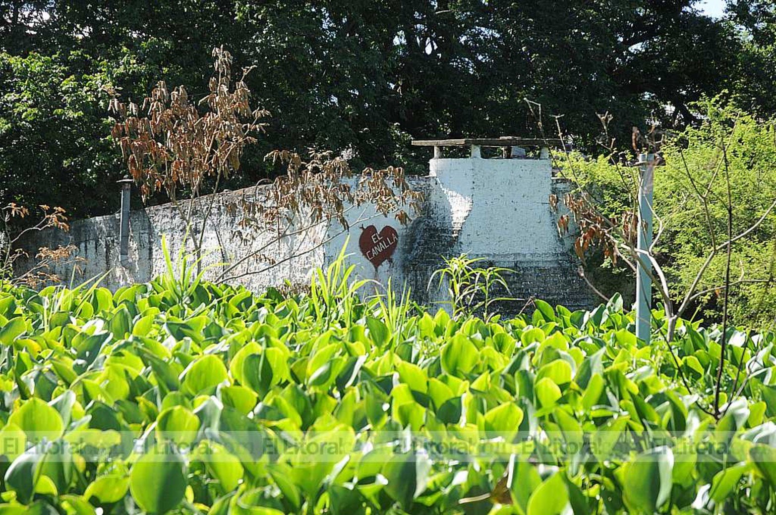 Zona Club Caza Y Pesca Inundacion