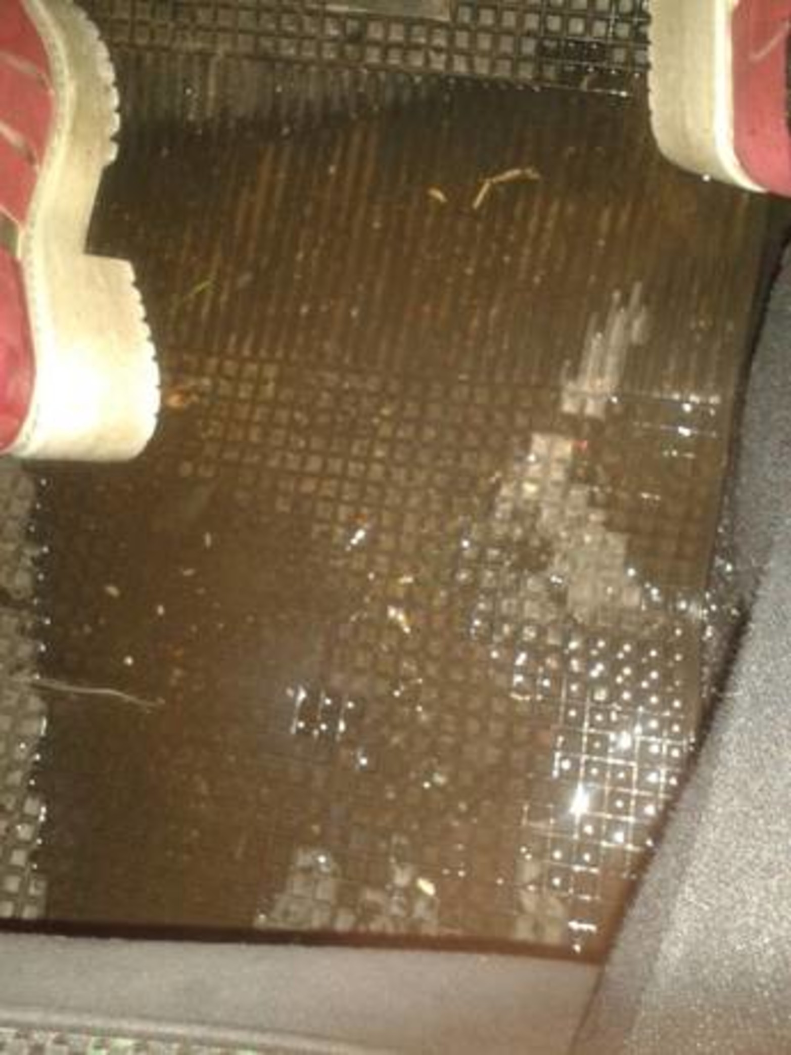 San Jerónimo 3900 se nos quedó el auto