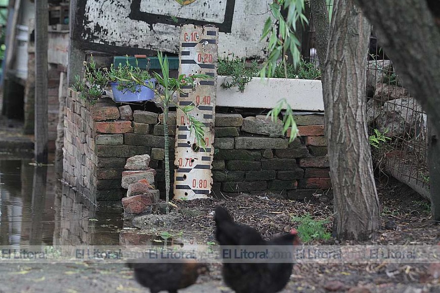 El río llegó a los cinco metros