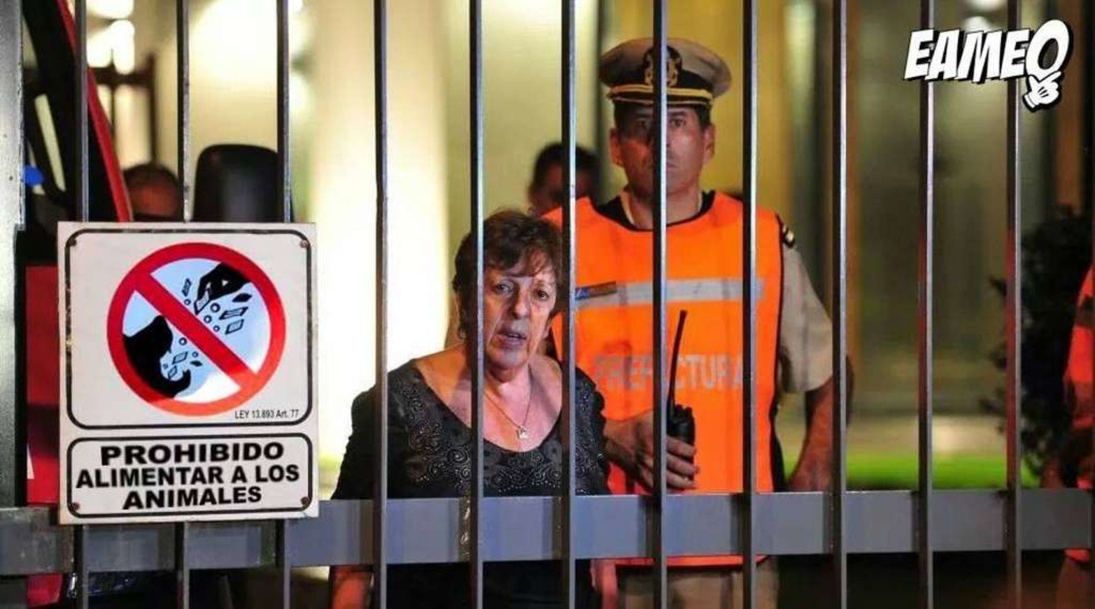 Selección de las "intervenciones" que hace Eameo en las redes sociales.