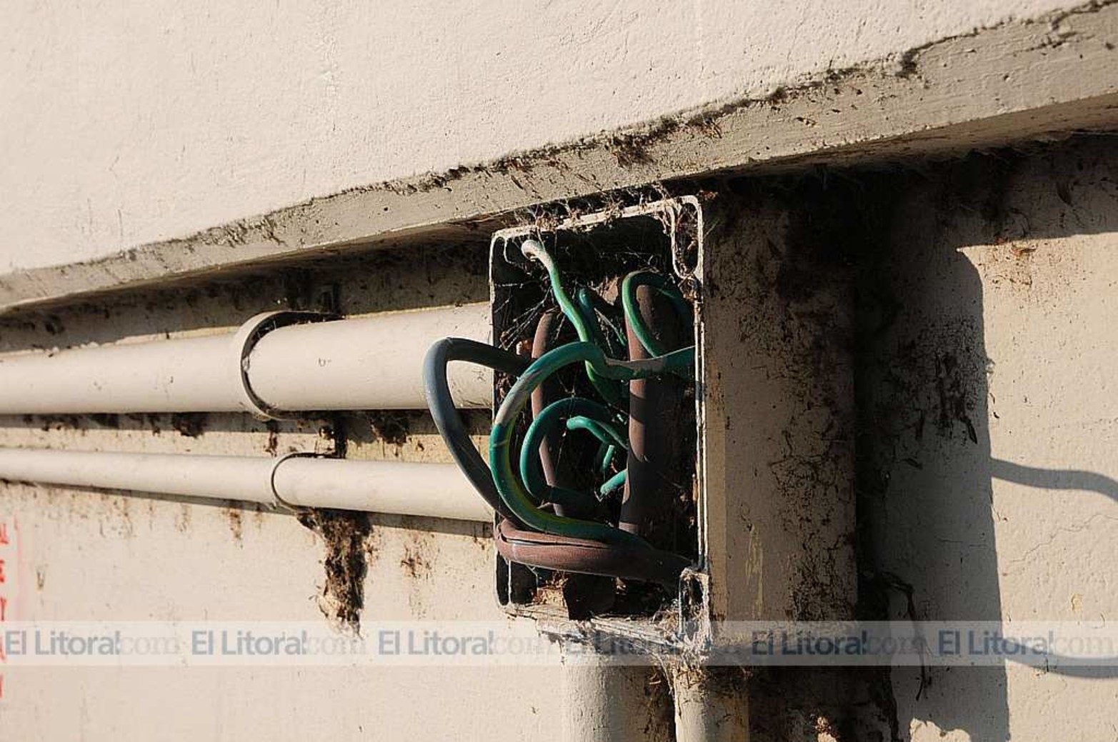 Un peligro. Hay varias cajas de electricidad que no tienen sus tapas, lo que deja los cables expuestos.