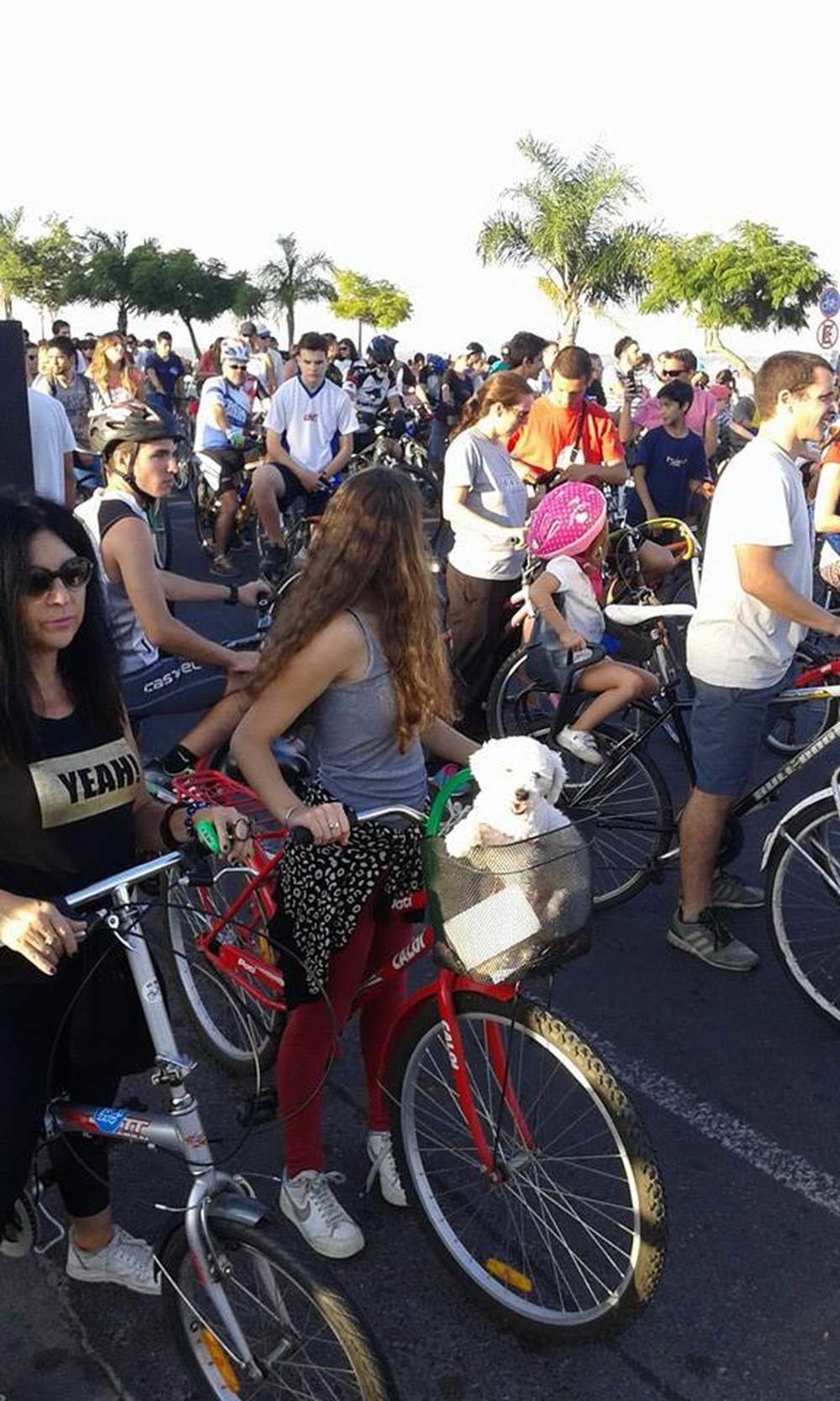 Segundo "Bici Encuentro" en Santa Fe