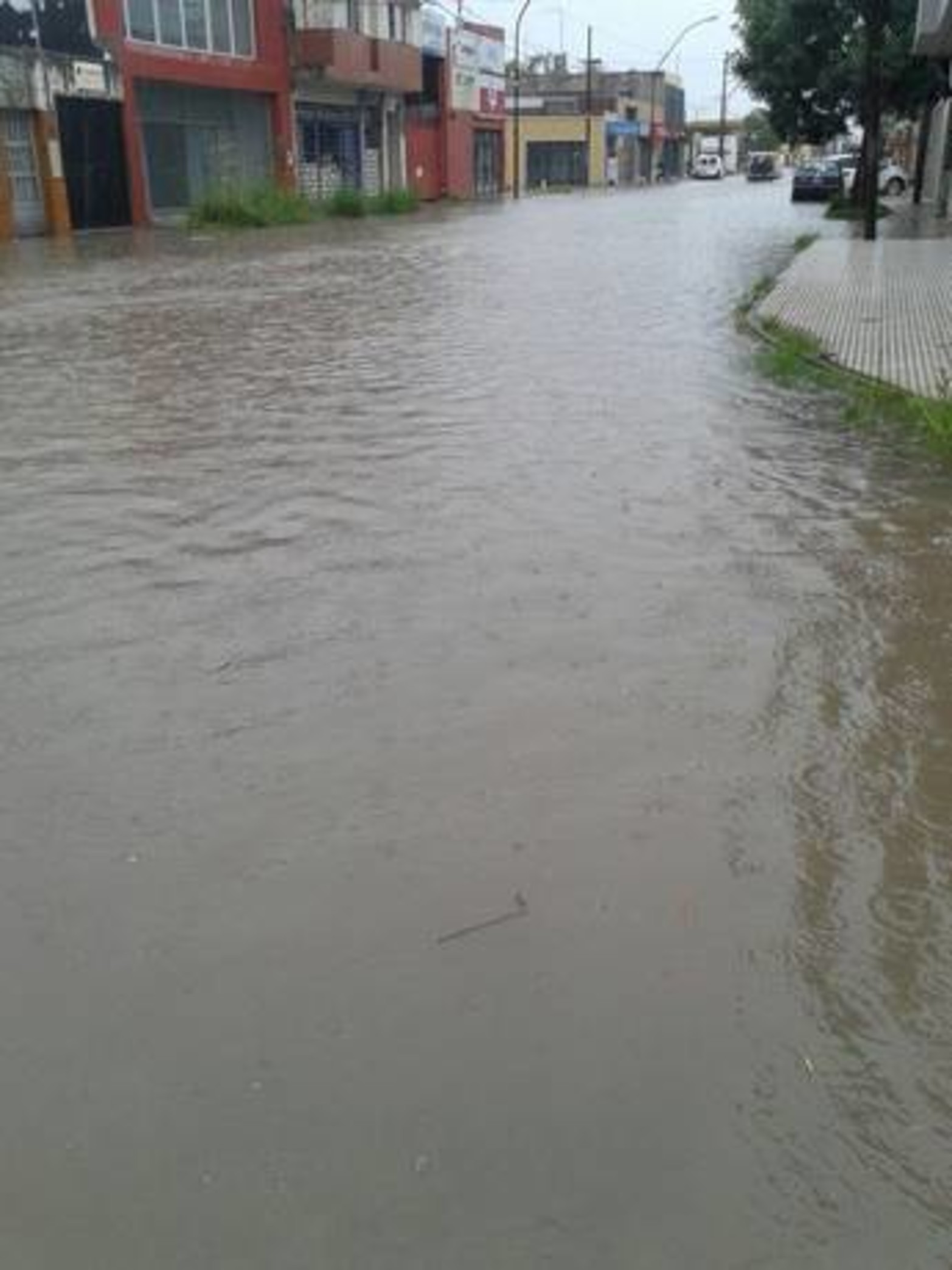 Zeballos y San José