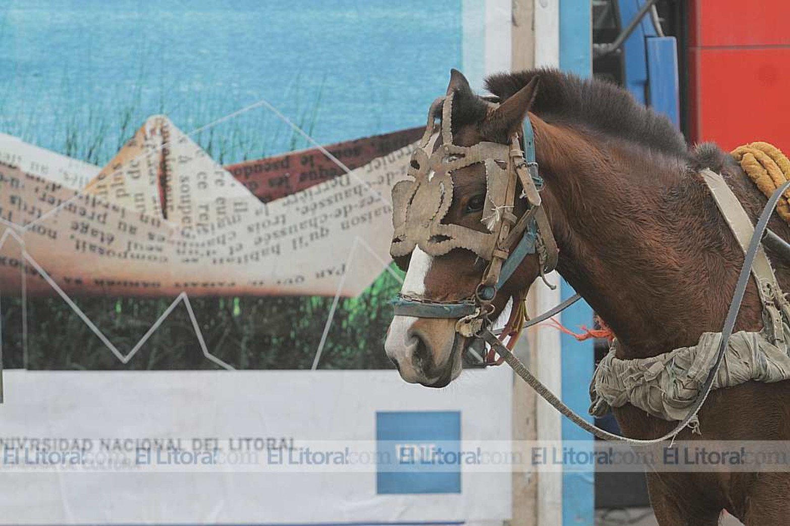 Familias ingresaron a un contenedor donde la empresa Coto tiró mercadería afectada por el incendio que la firma sufrió días atrás.