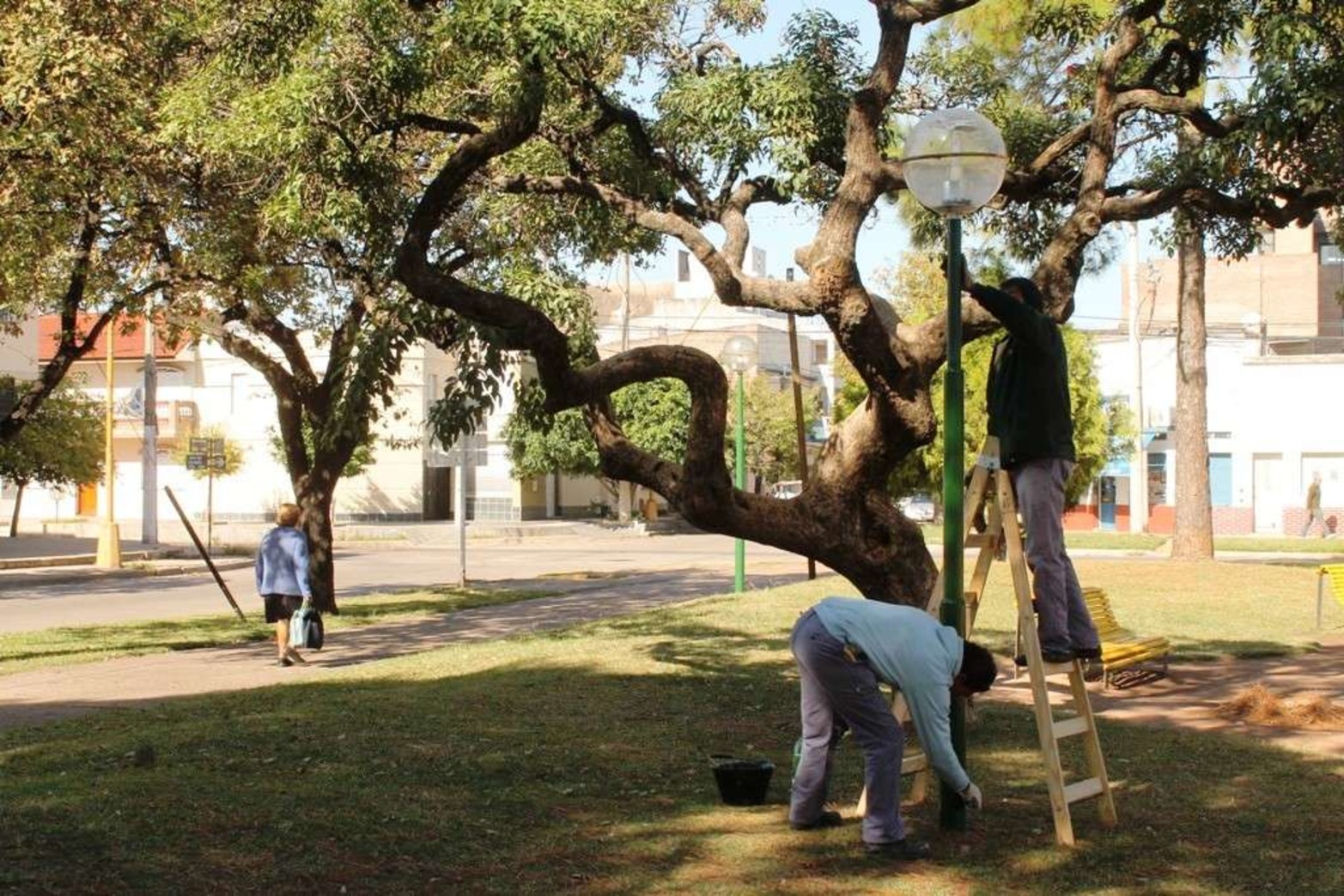 Trabajos en la plaza de las Banderas