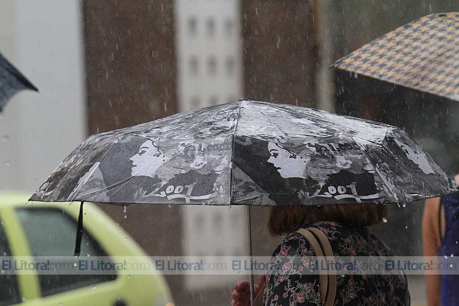 San Gerónimo al 2500