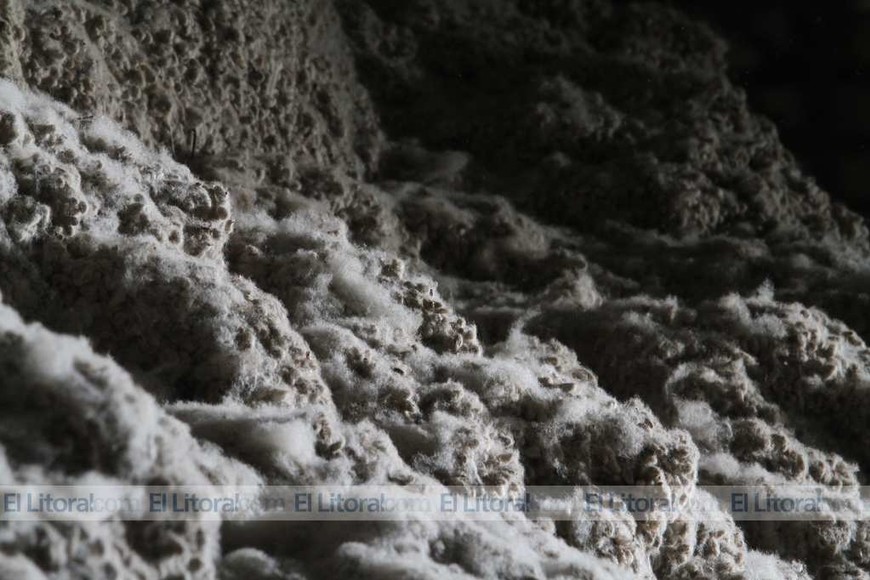 Los contenedores salen del puerto en camión