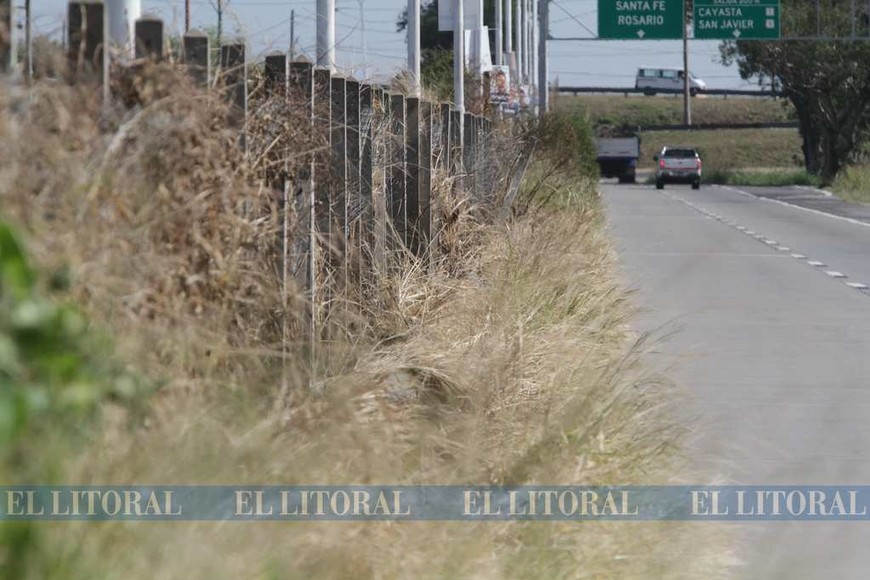 La autovía 168 sin mantenimiento