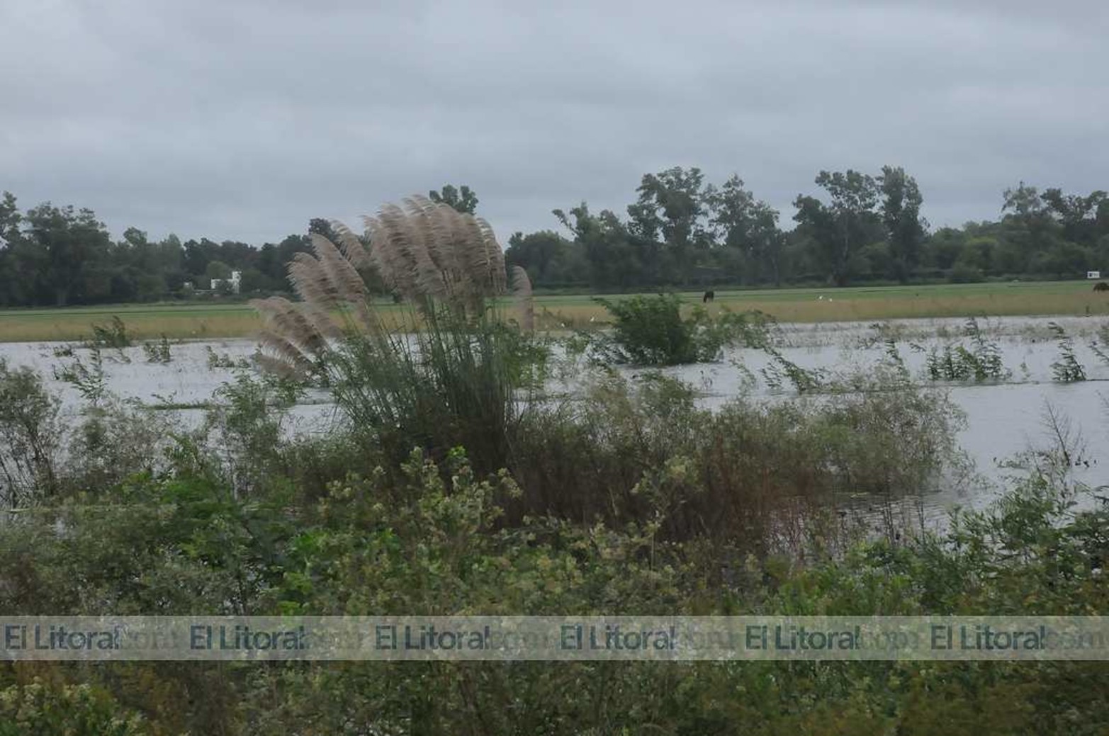 Barrio La Vieja Tablada