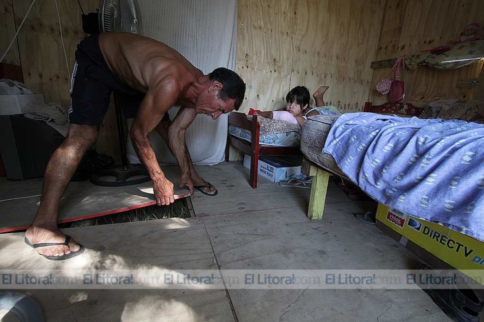 Bichos que pican y dejan ronchas. Un vecino levanta una madera del piso de donde salen pequeños bichos que pican y dejan ronchas a niños y adultos.