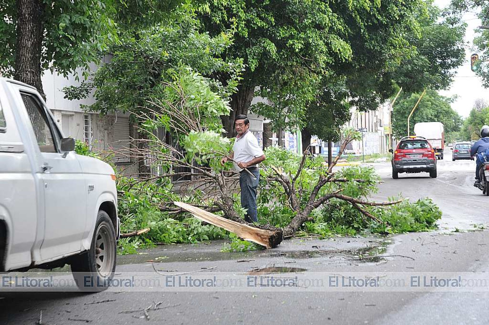 En Alvear al 3500 casi boulevar Galvez el viento tumbó árboles