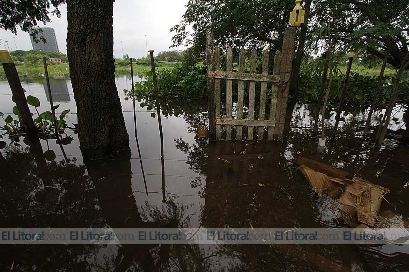 Vuelta del Paraguayo
