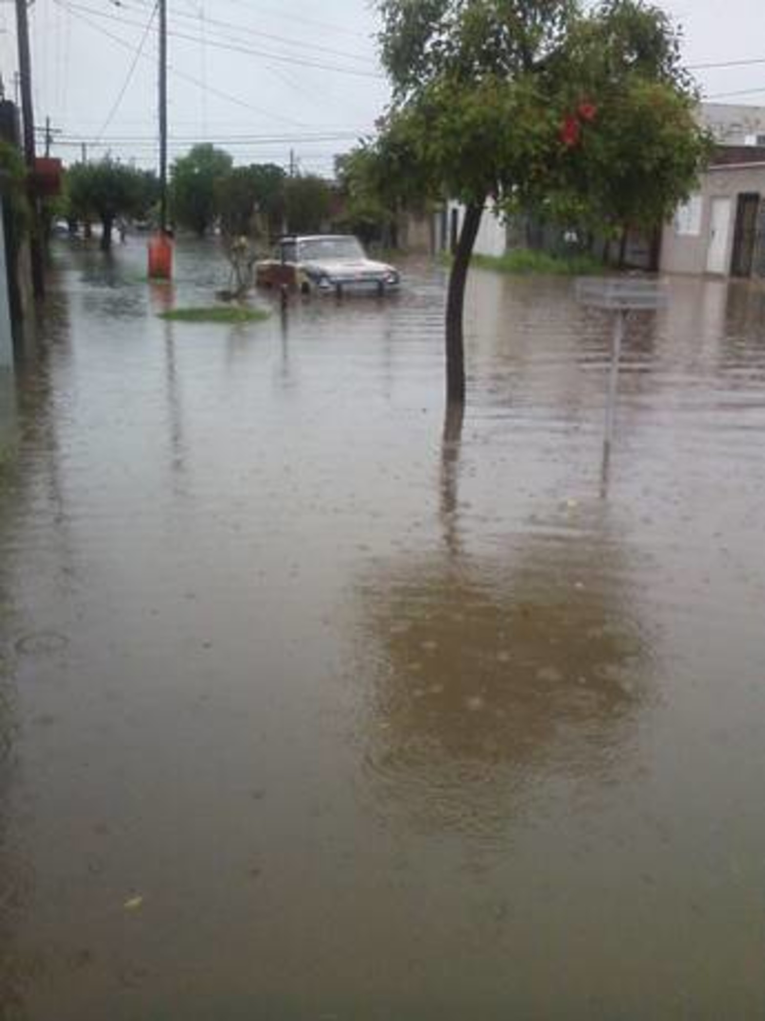 Hernandarias entre Estrada y Gaboto