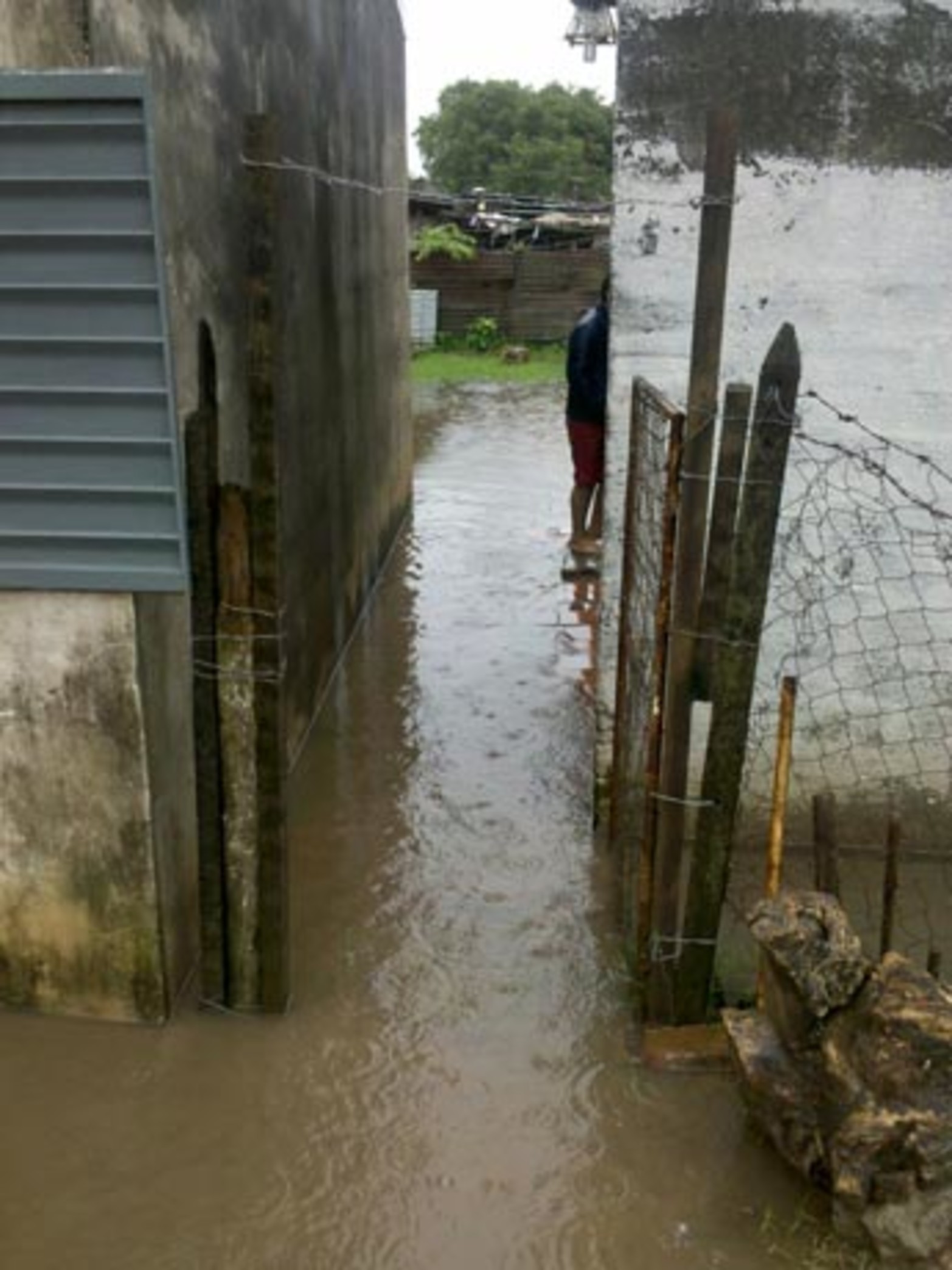 Caferata y Piedrabuena