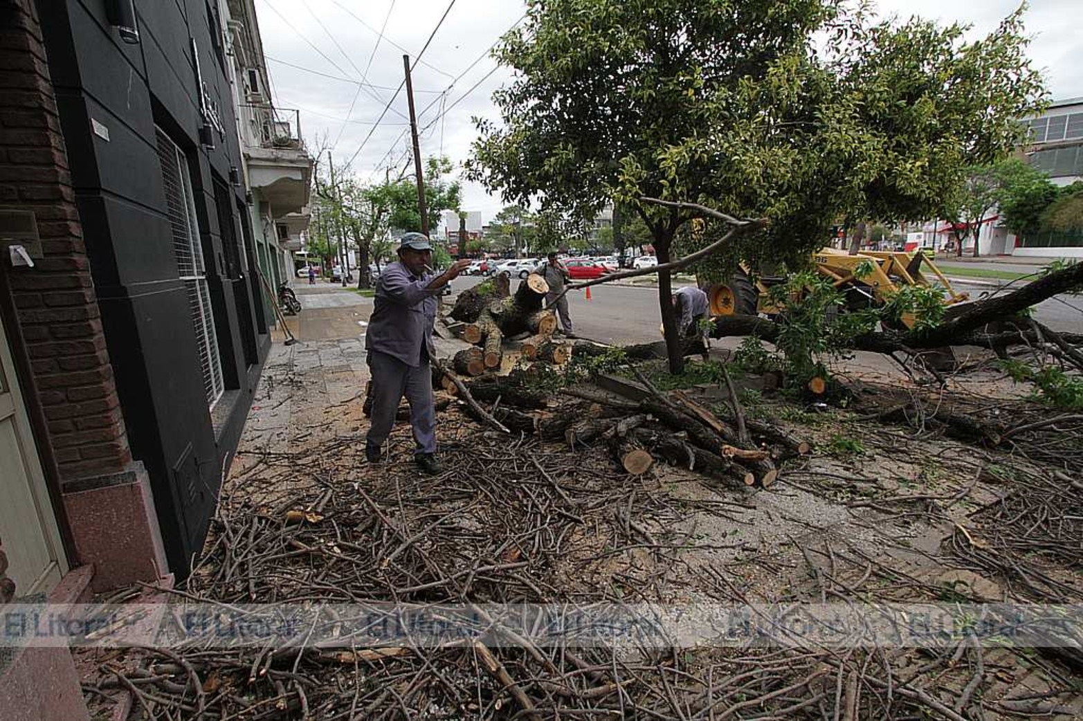 En avenida López y Planes frente al Club Unión cayó un árbol.