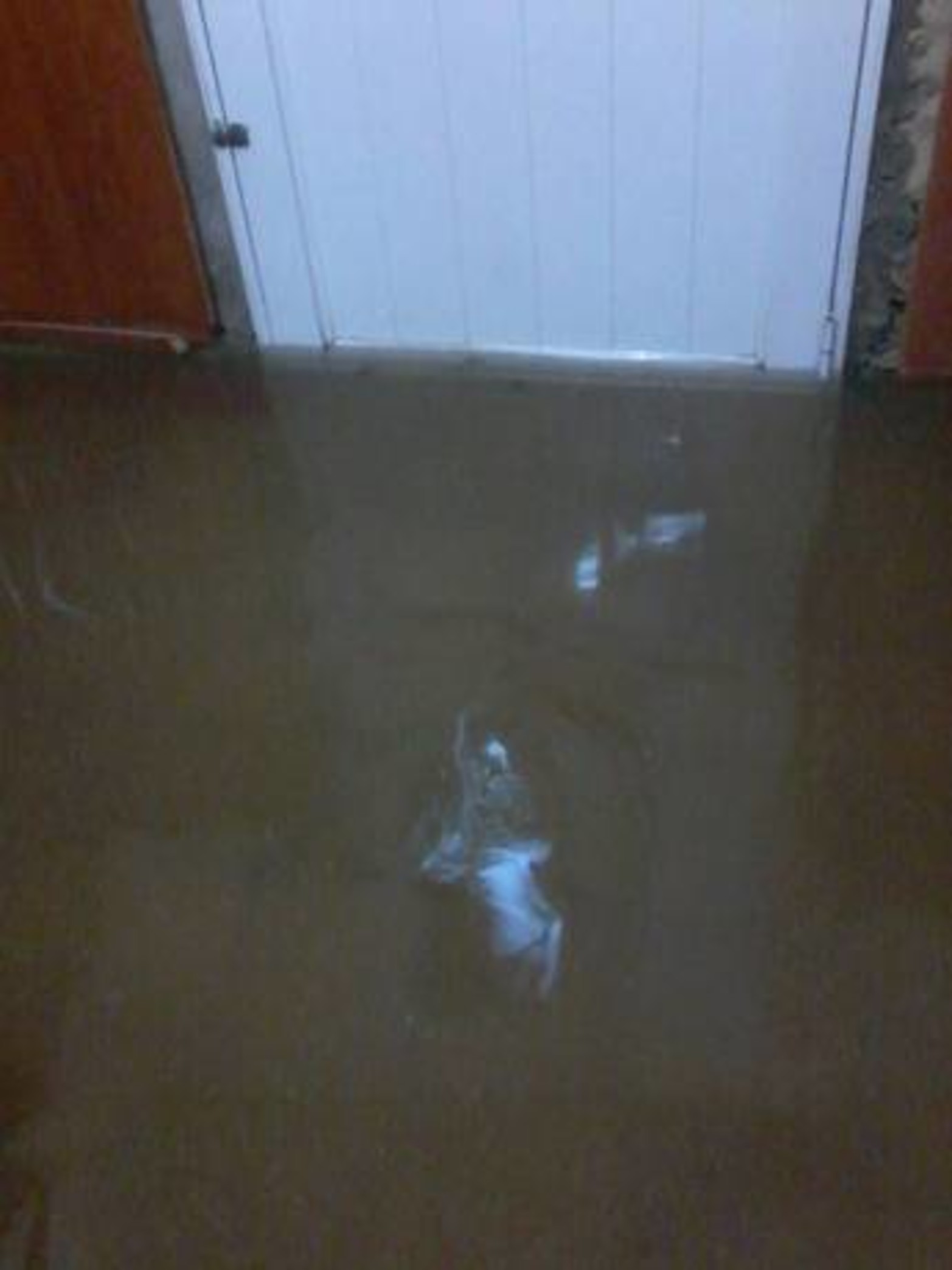 San Cristobal - Calle Céntrica