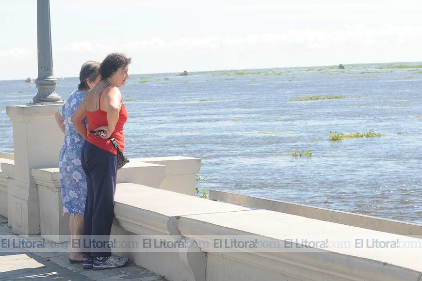 El río Paraná llegó al nivel de evacuación