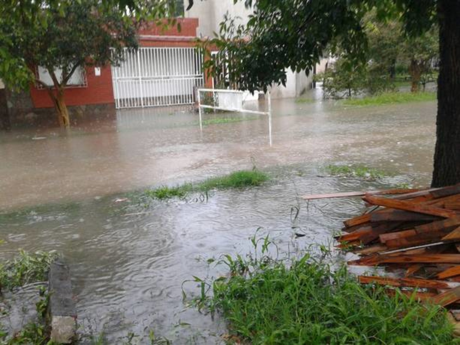 Zeballos y San José