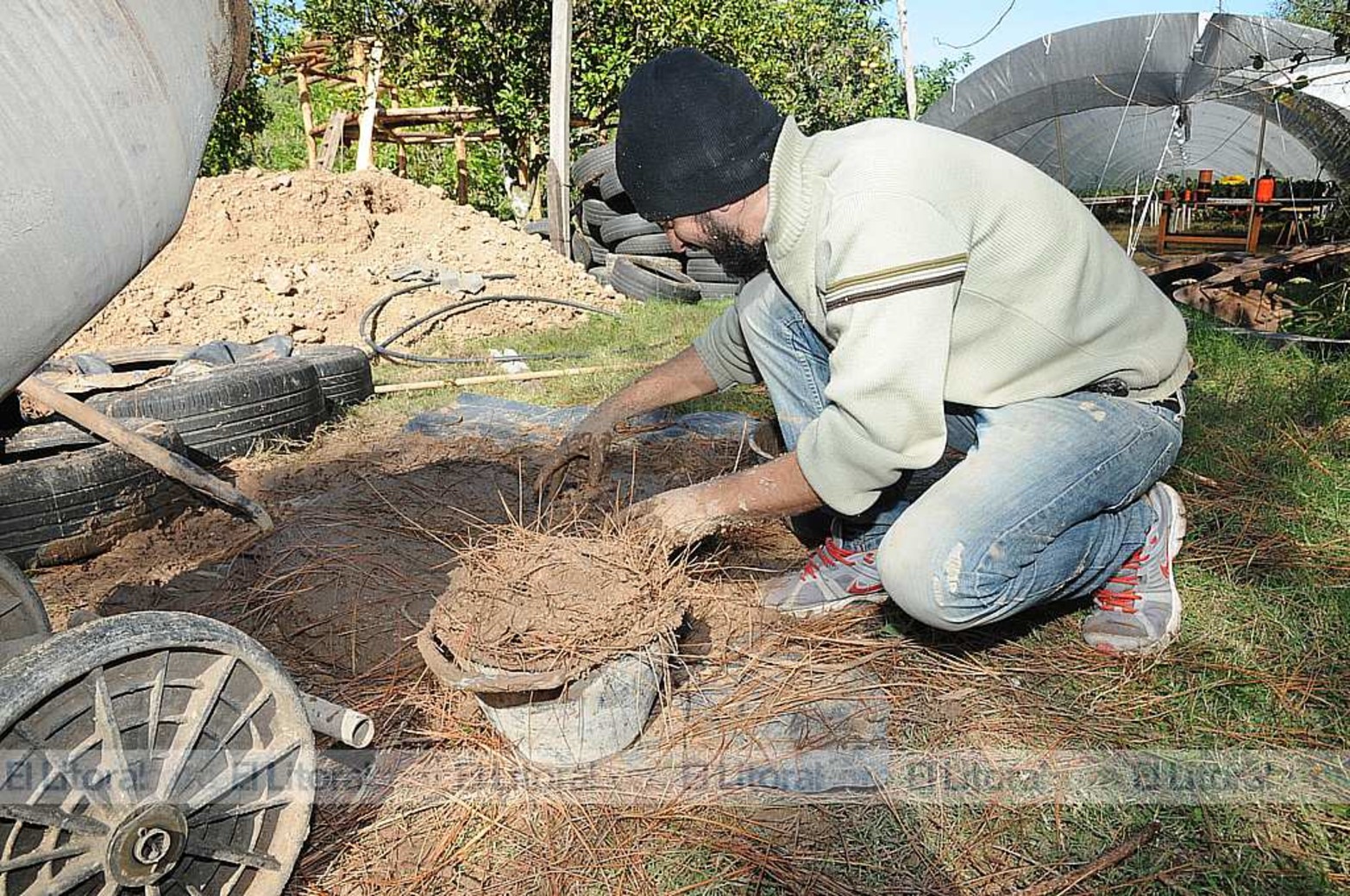 Agregando más paja o heno seco para mezcla de adobe