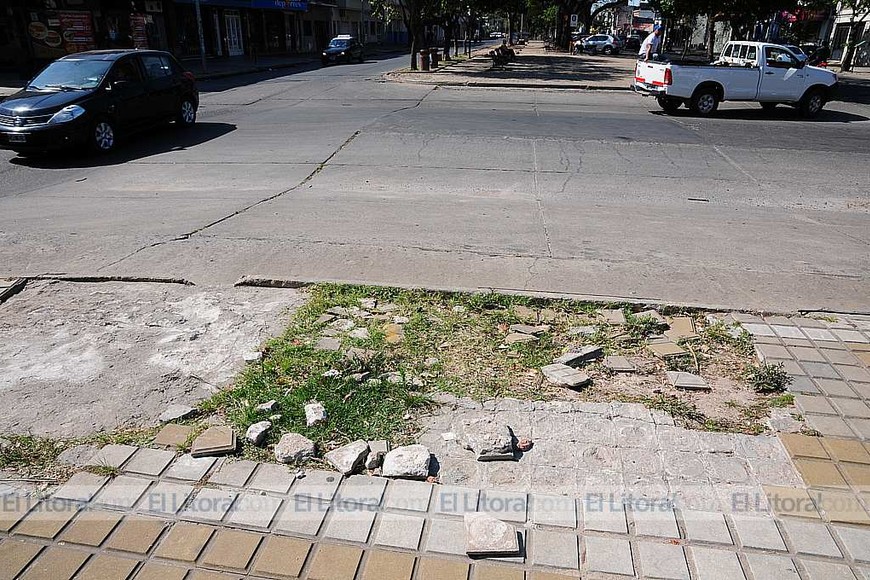 El mal estado de Avenida Freyre
