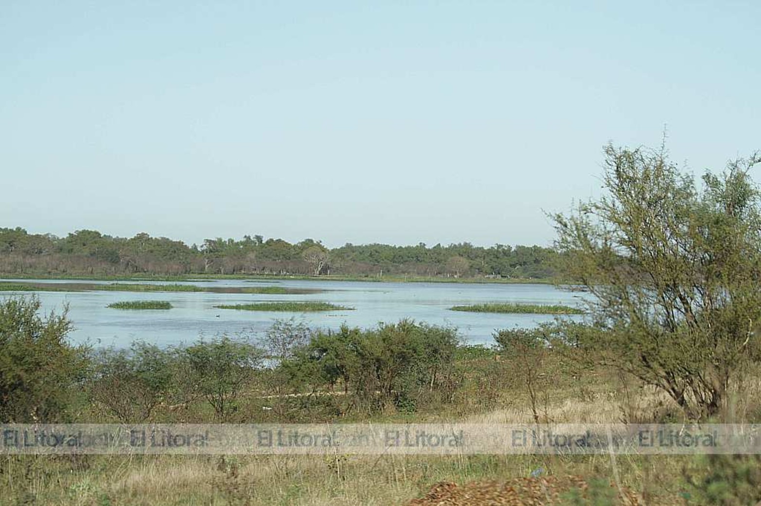 Terrenos fiscales ocupados en Rincón