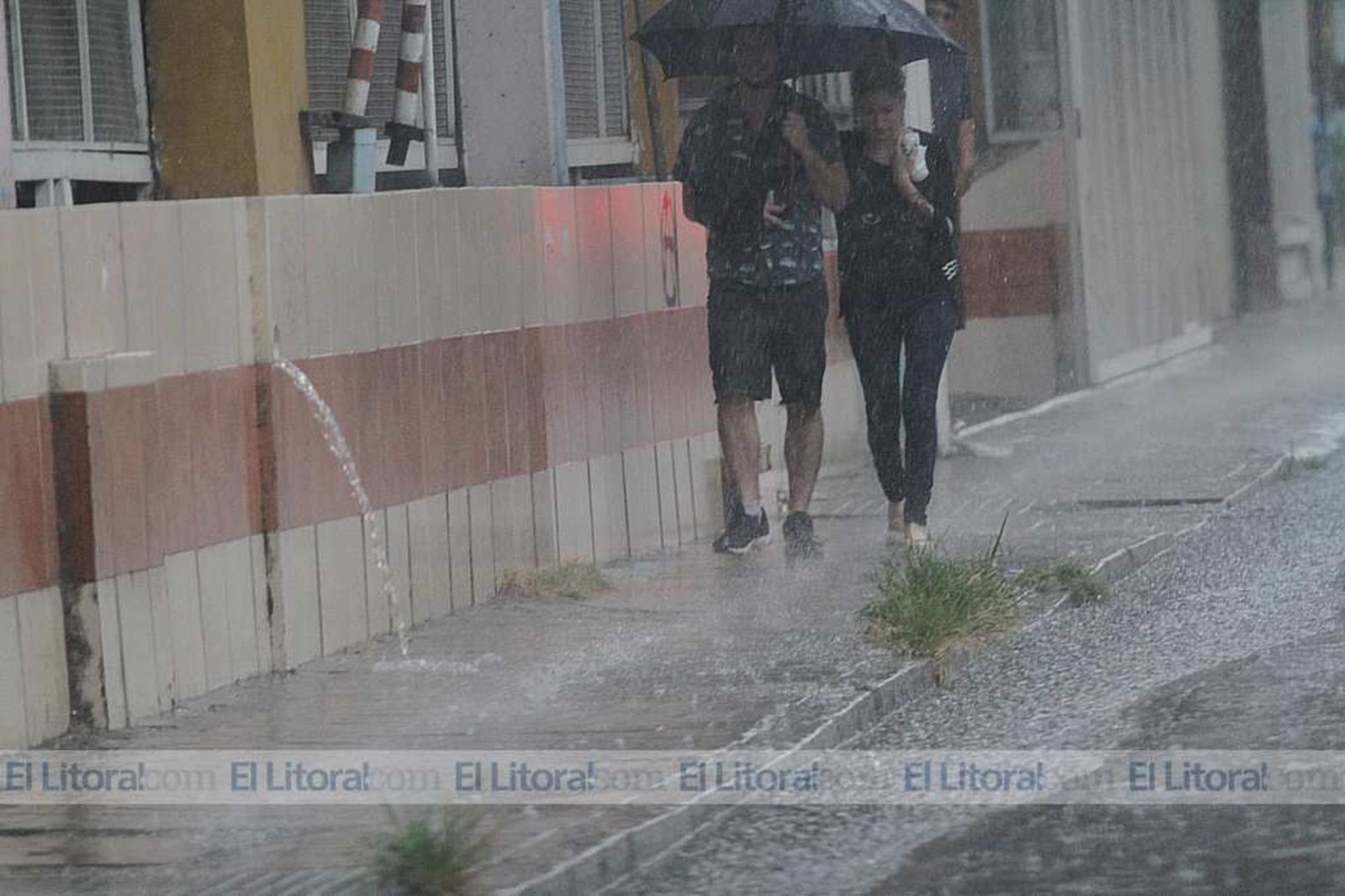 Irigoyen Feryre al 2400