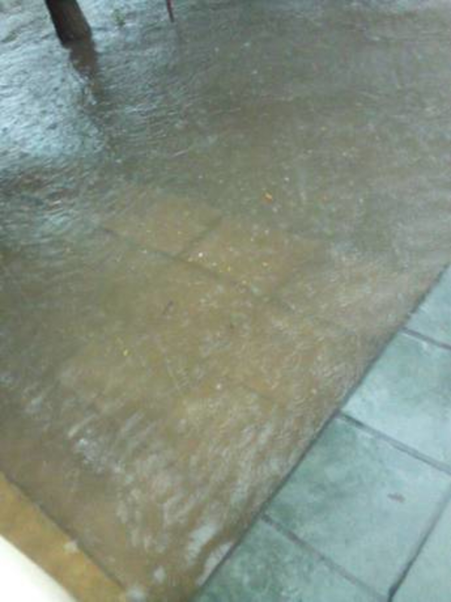 Barranquitas - Brasil 4600