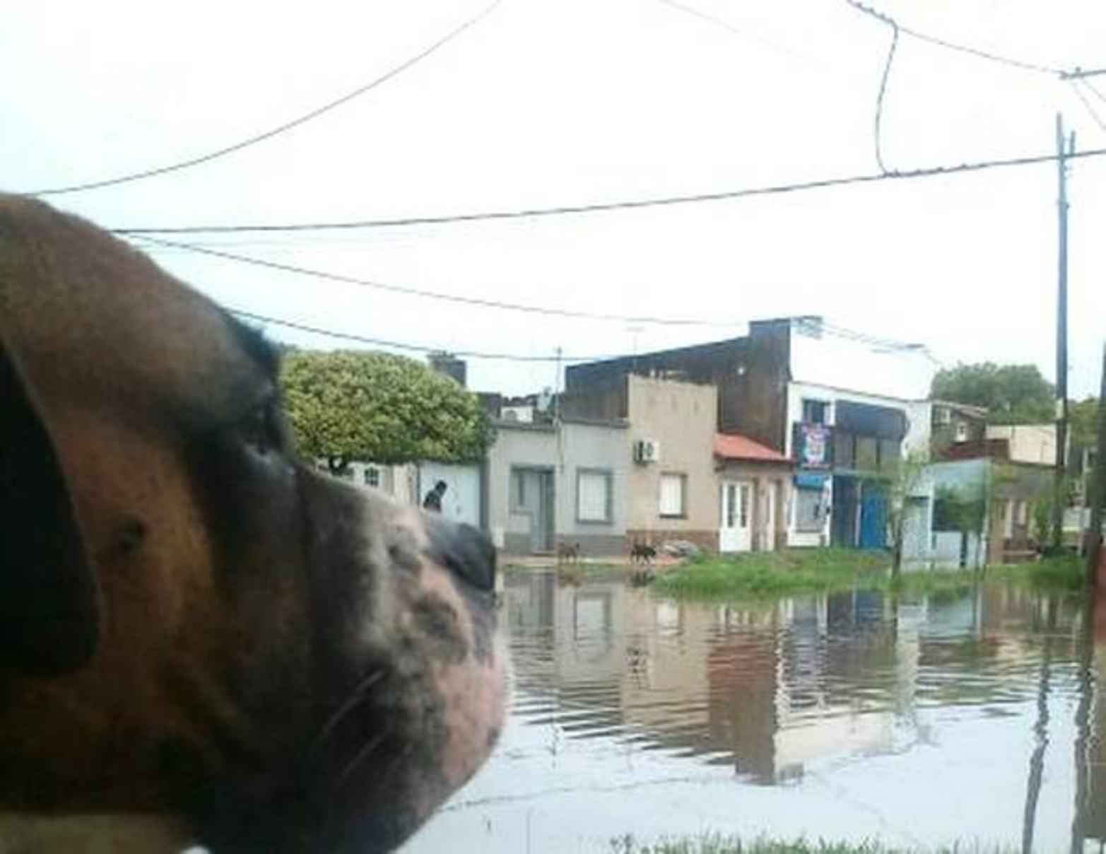 Espora y Zaballa - Barrio San José