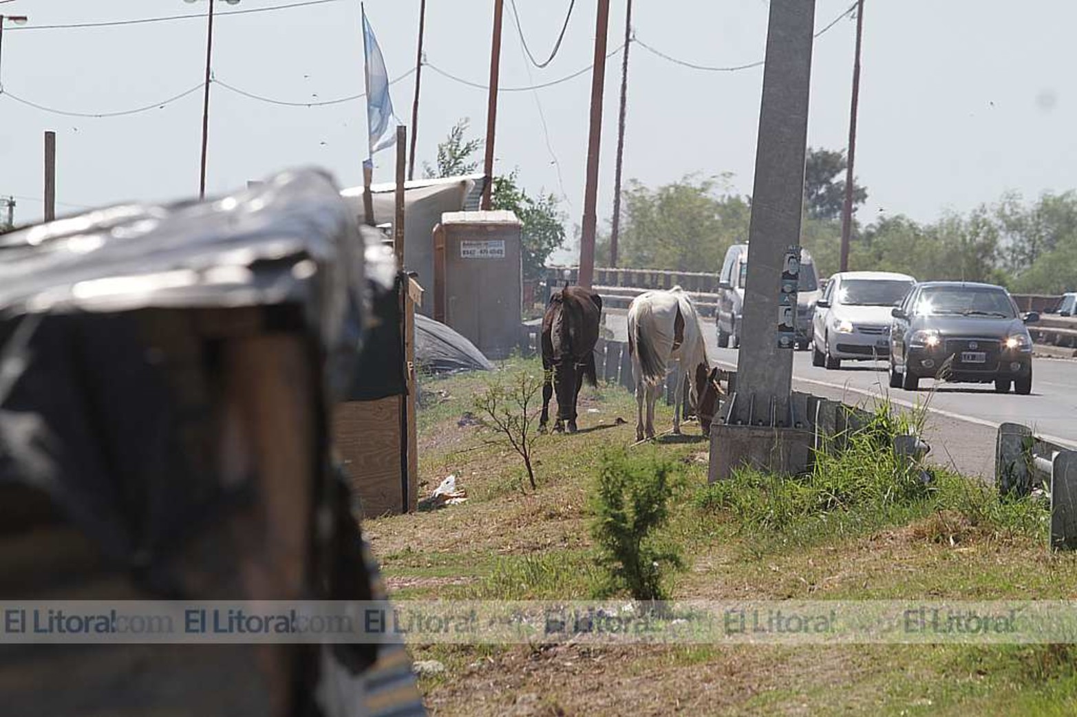 Atención conductores...Sobre la autovia de la ruta 168 hay varios ranchos armados en los cuales hay animales atados y niños jugando.
