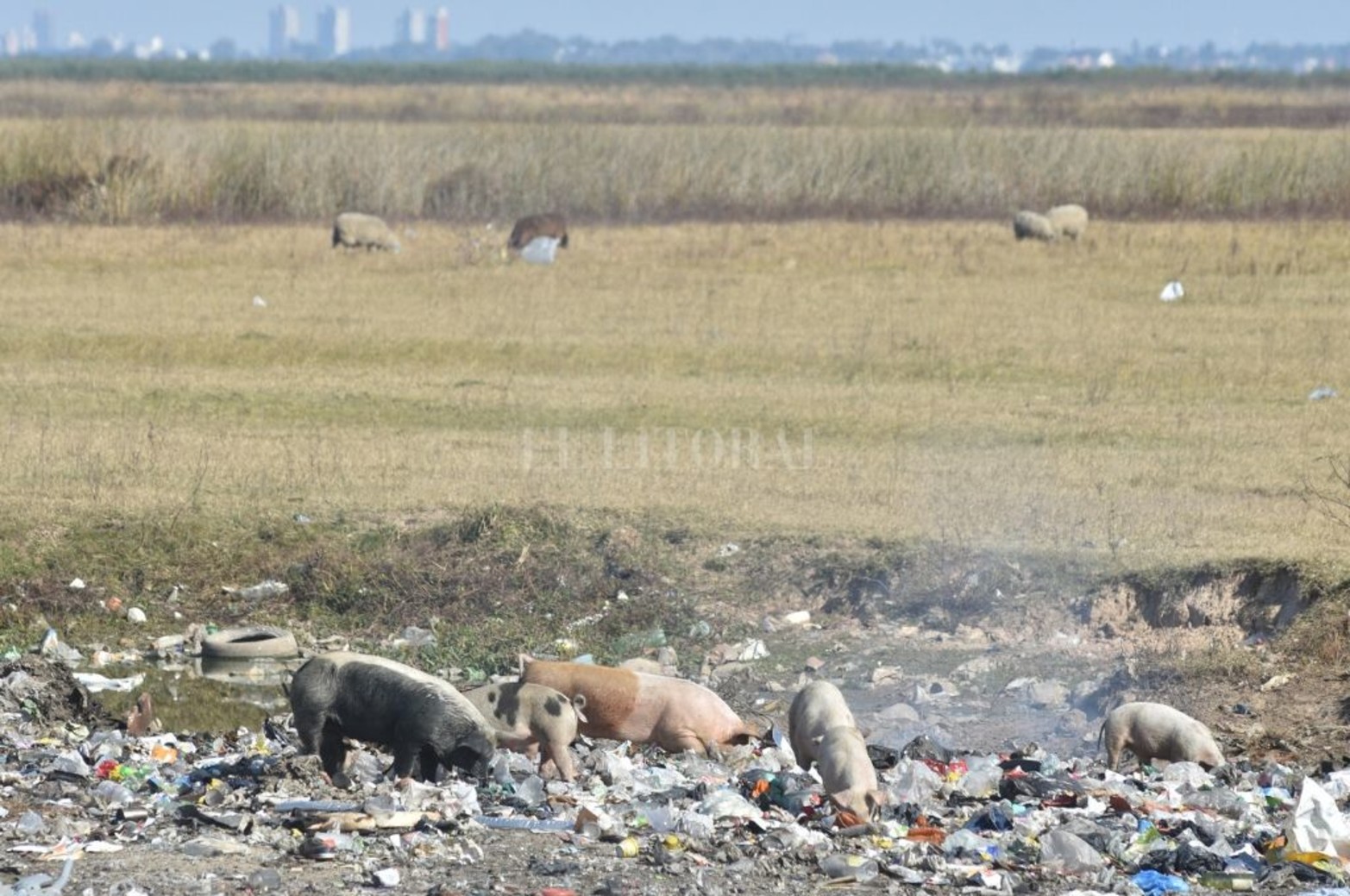 En el ejido de Arroyo Leyes, la comuna tira la basura en el valle de inundación de la laguna Setúbal.