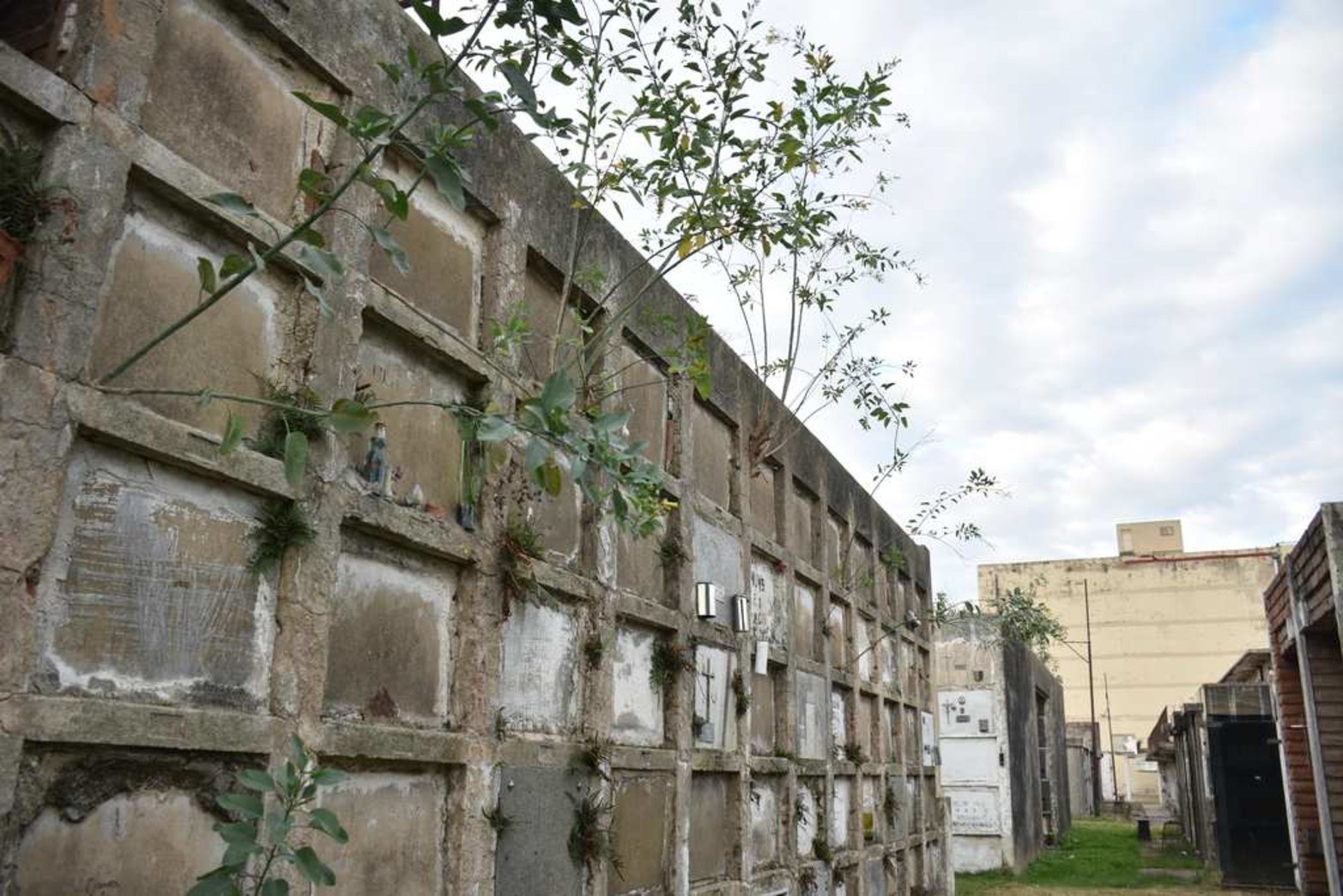 La falta de mantenimiento y las profanaciones es un tema que sigue sin solución.
