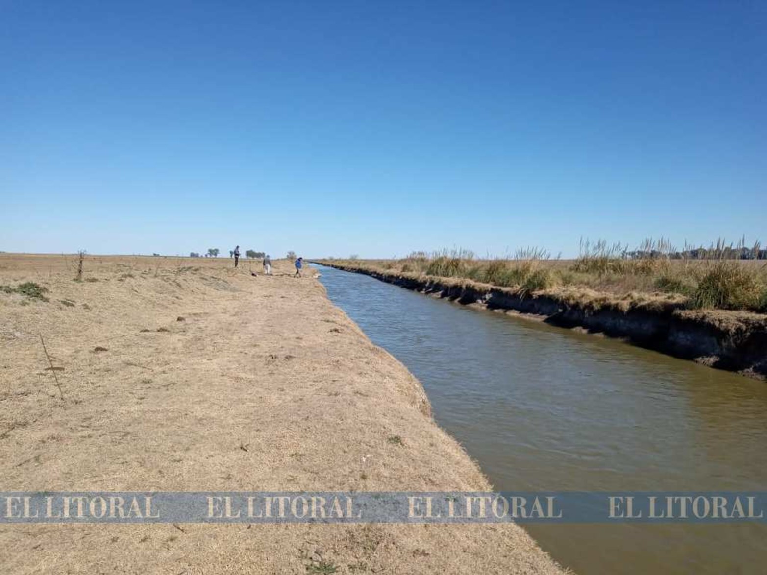 Como en la película La Era de Hielo, pero en Santa Fe: identifican a un perezoso que habitó la provincia hace 8500 años