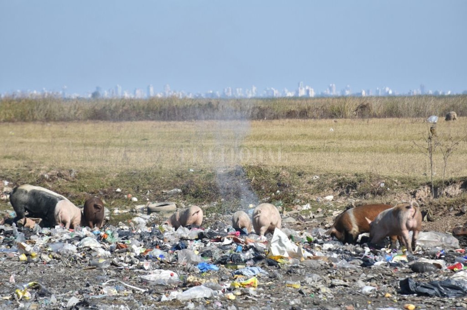 En el ejido de Arroyo Leyes, la comuna tira la basura en el valle de inundación de la laguna Setúbal.