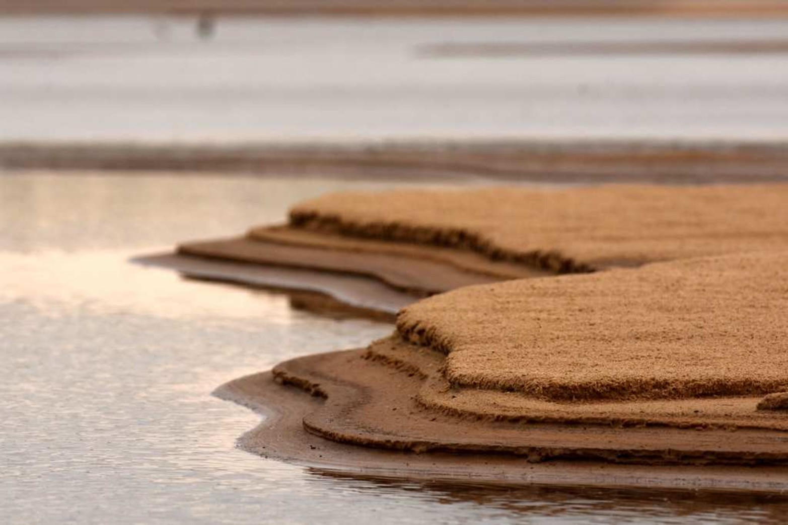 Las líneas curvas que se forman en la arena.