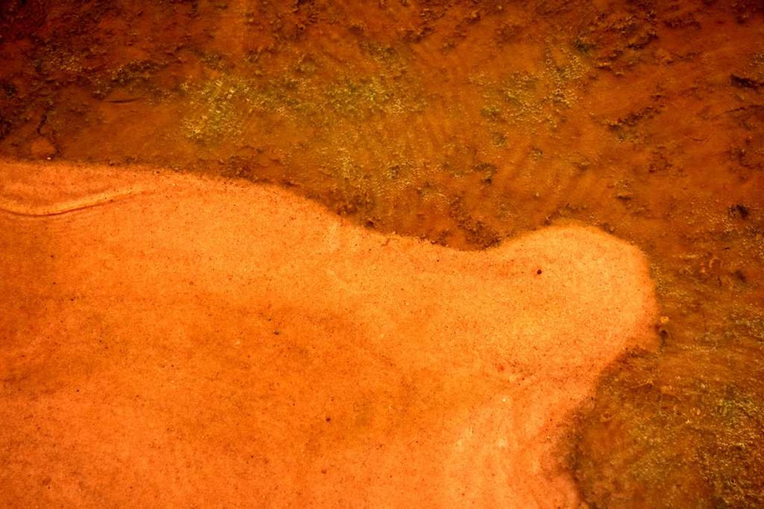 Las texturas con los sedimentos del río.