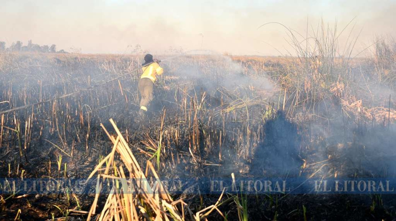 Tierra arrasada. El fuego mata todo, la flora y la fauna.