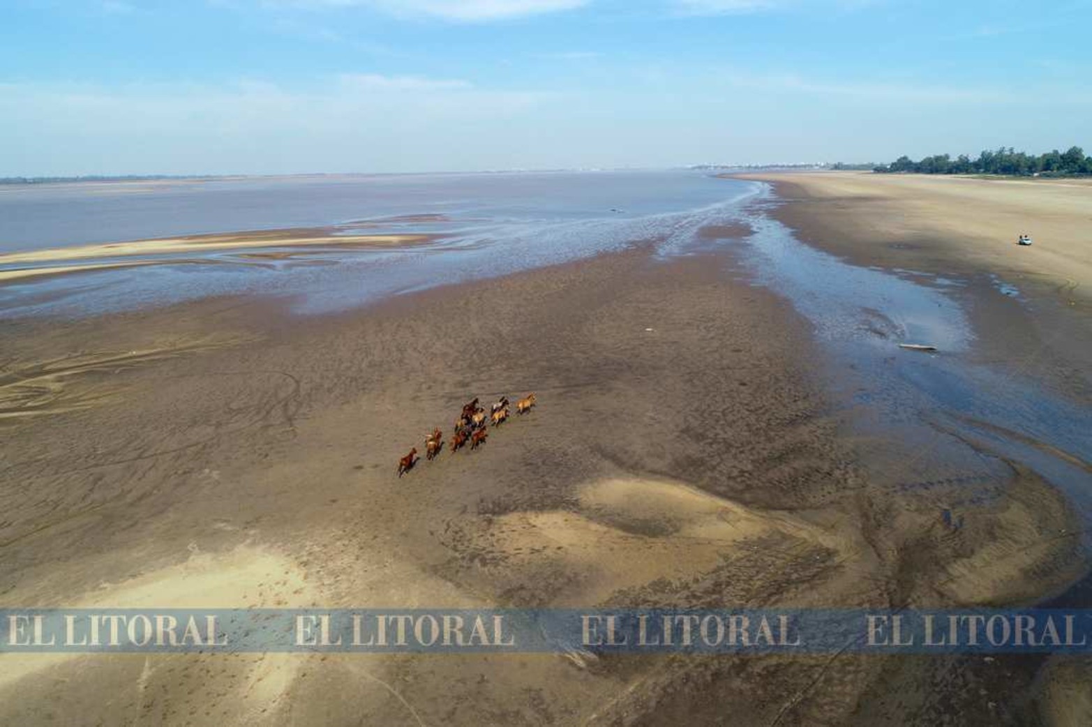 La tropilla vista desde el drone de El Litoral.
