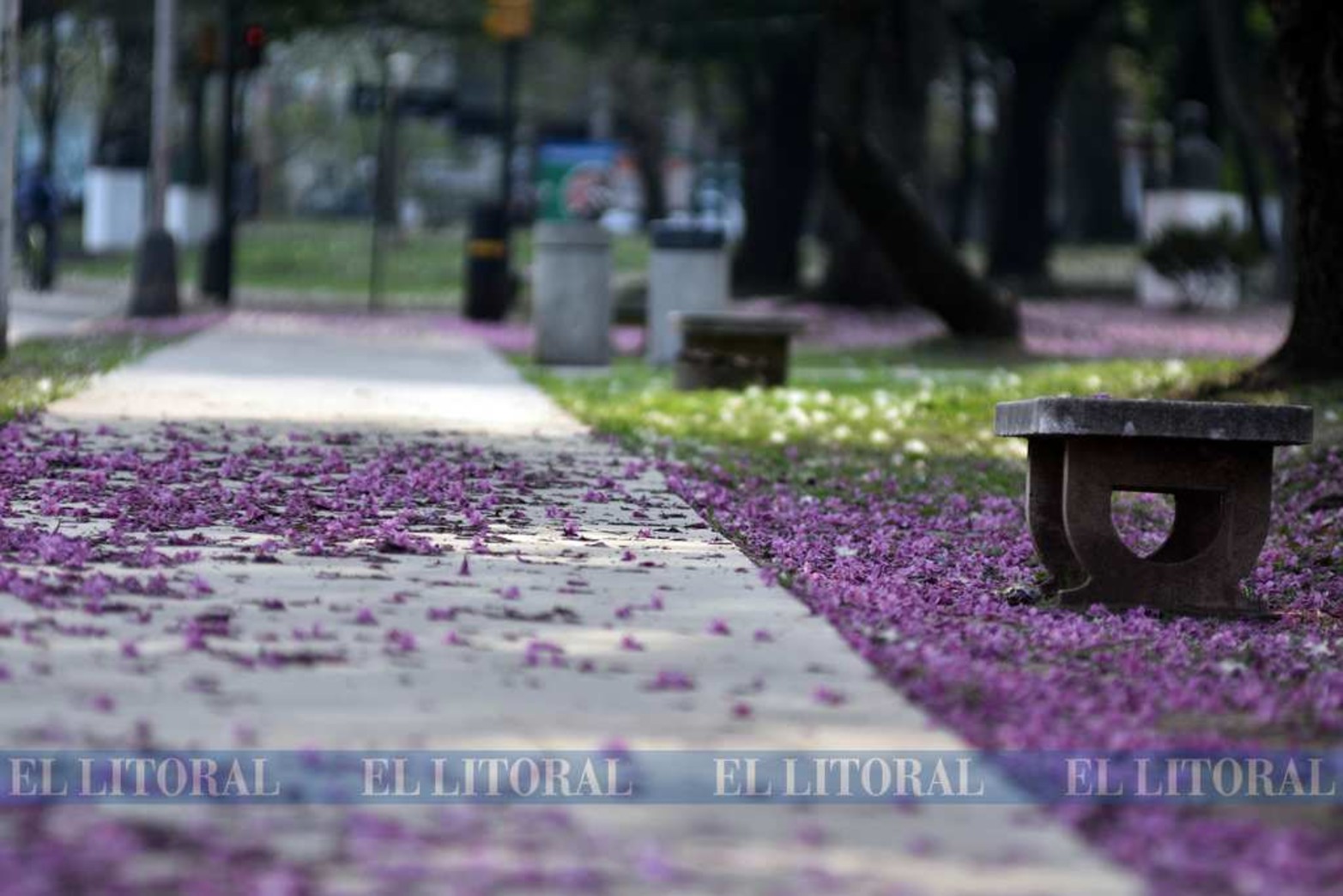Sentarse todavía no se puede. La zona del lago del Parque del Sur dejó está postal.