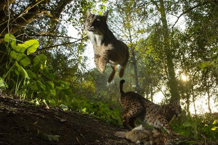 Nominados World Press 2020