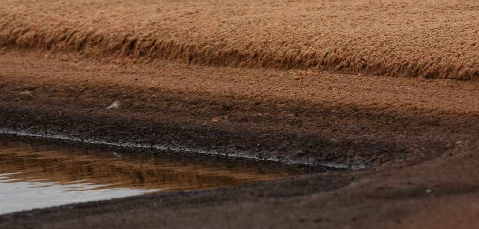 Las líneas curvas que se forman en la arena.