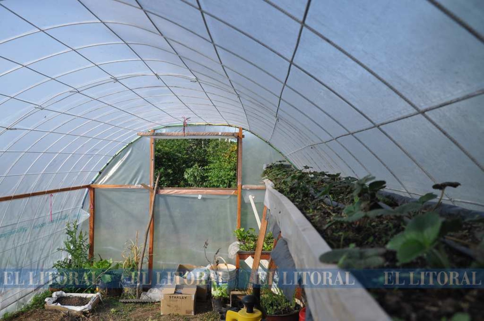 Mini invernadero. Con malla sima y con plástico de polietileno de 120 micrones asegura una vida útil de 10 años.