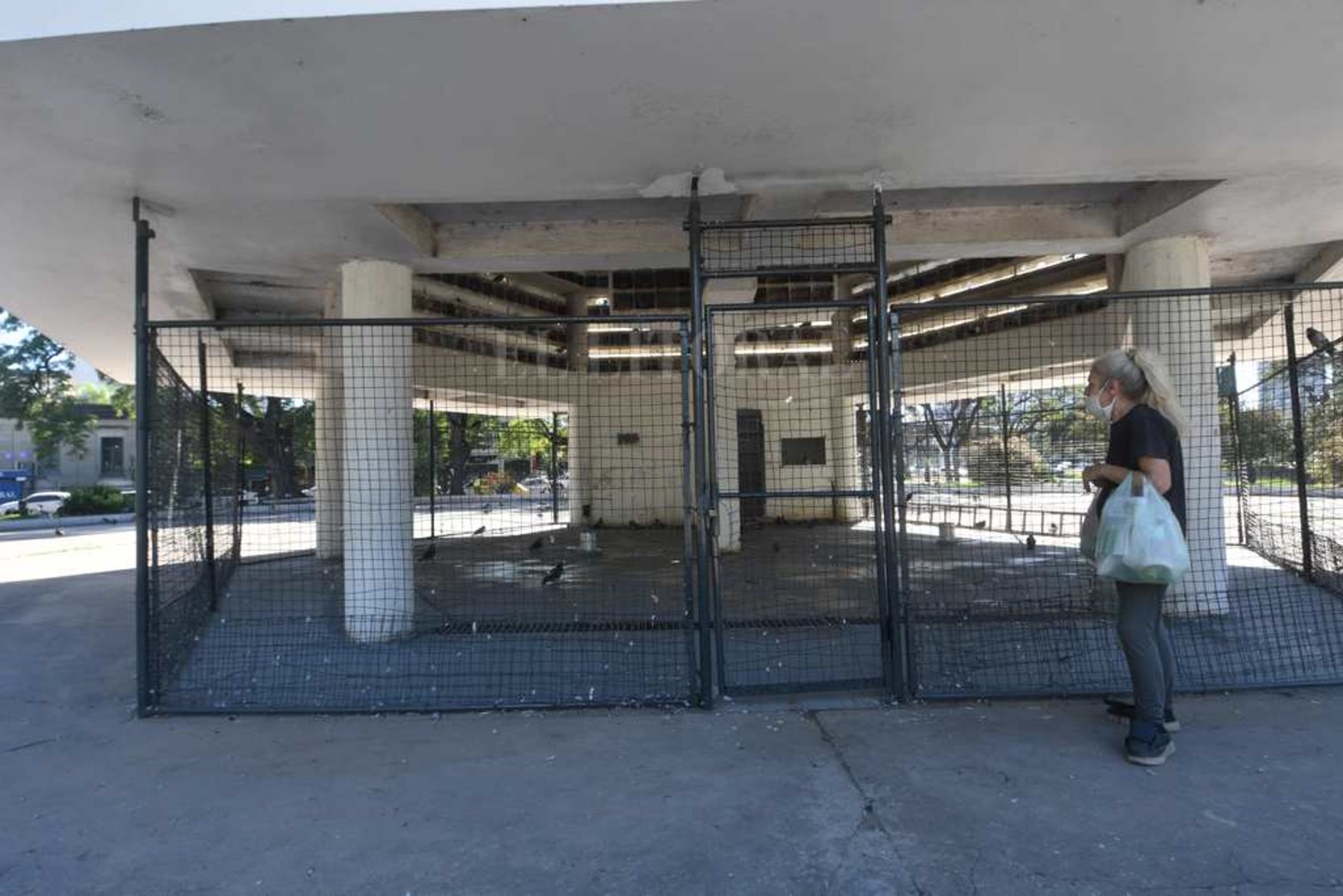 La reja que llegaba hasta la altura fue bajada para que tengan mejor acceso las palomas.