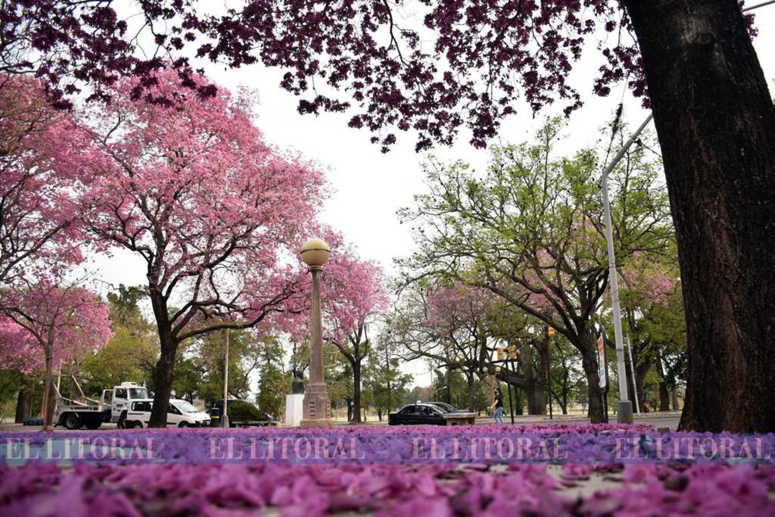 Los tonos rosados. Otra postal que deja el Parque del Sur.