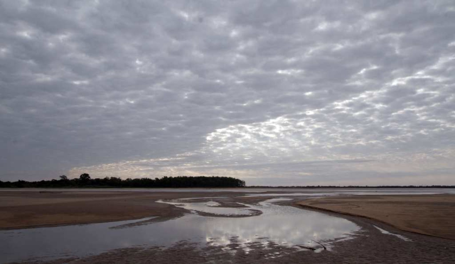 Las líneas curvas que se forman en la arena.