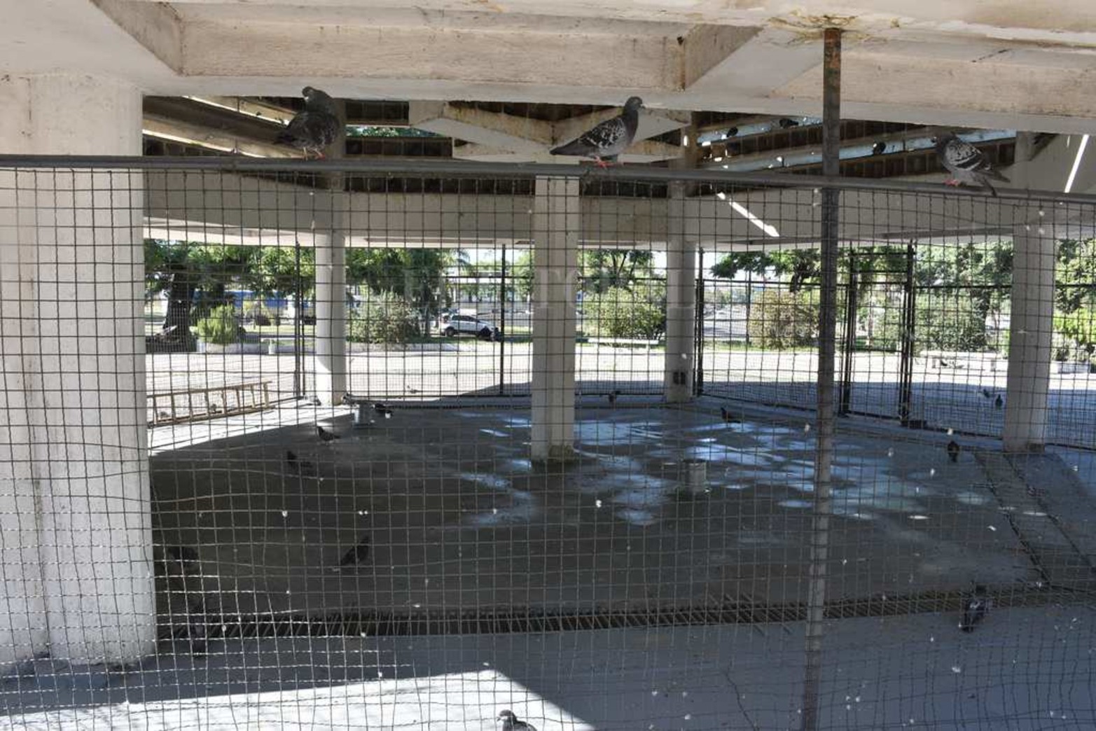 Lo nuevo. Se tapó el bebedero que había en el interior y se los colocó afuera para tener agua en mejores condiciones.