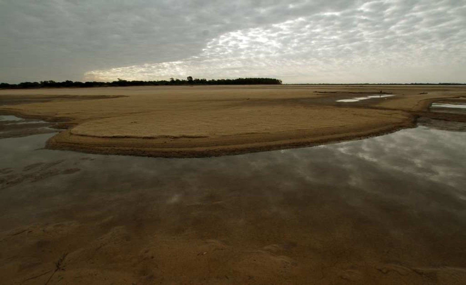 Las líneas curvas que se forman en la arena.